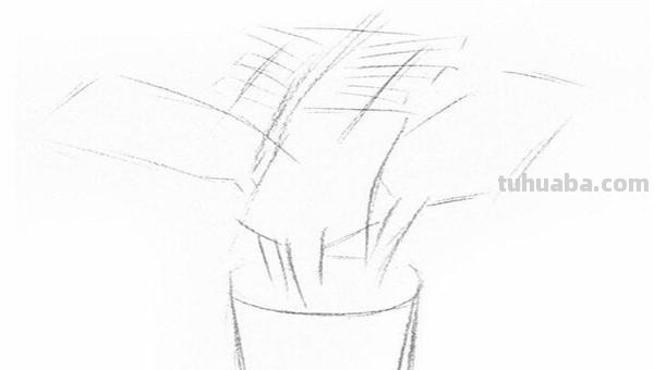 椰树怎么画图片简笔画 简笔画大全？