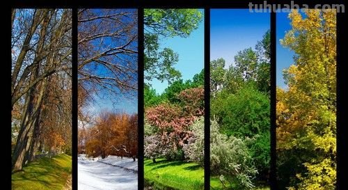 四季的色彩图片：了解四季的色彩，感受大自然的变化 