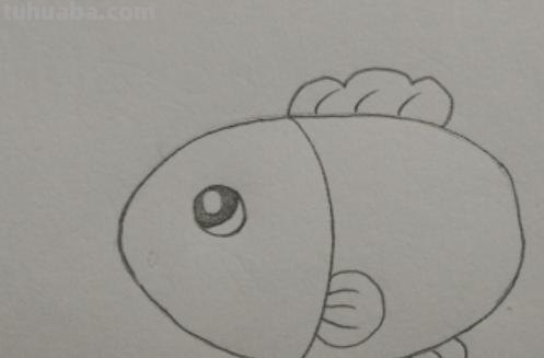 彩铅画白色的鱼怎么画 鲤鱼怎么用彩铅涂色好看？