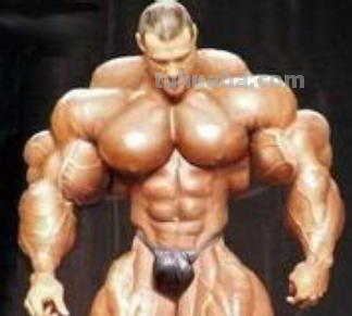 请问魔鬼筋肉人是什么意思呢? 随便问问
