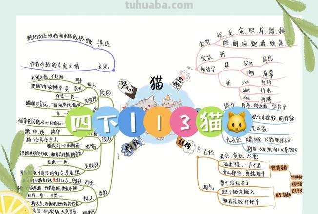 猫思维导图分支图怎么画 思维导图word怎么添加分支？
