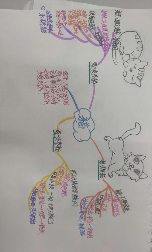 猫思维导图分支图怎么画 思维导图word怎么添加分支？