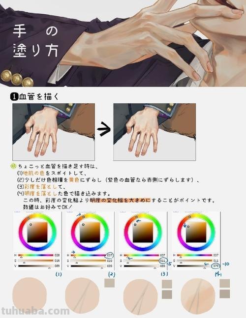 手部色彩的绘画技巧与方法