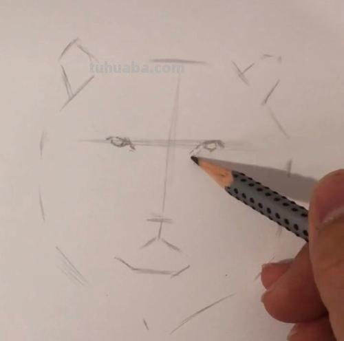 教师用彩铅画狮子怎么画 画一只霸气的狮子？