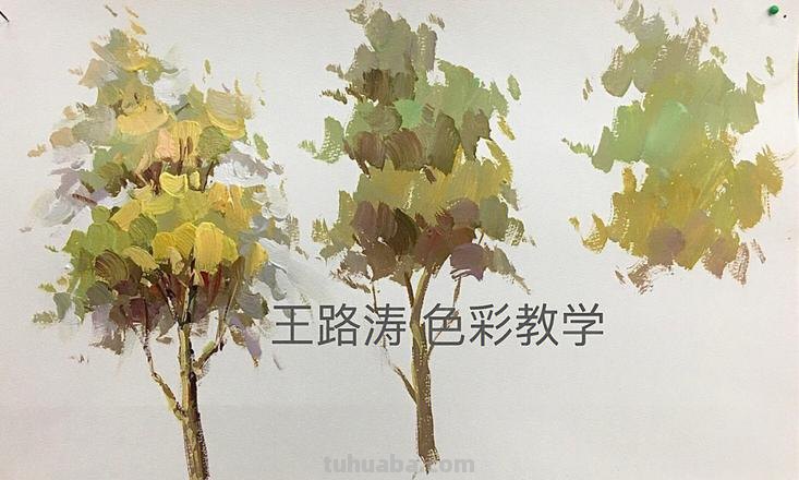 如何用色彩画出一棵大树?色彩大树的画法详解