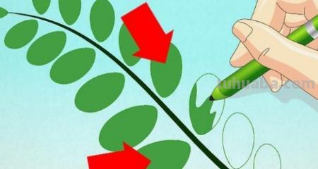 树叶画技巧速写 如何画树叶？