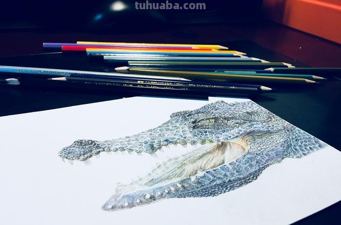 鳄鱼彩铅立体画怎么画 鳄鱼怎么画？