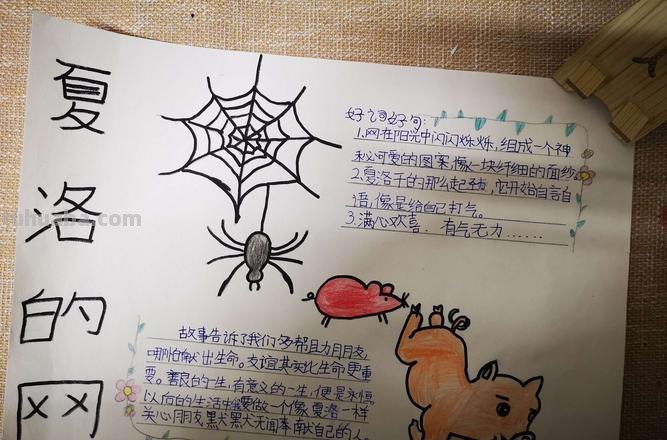 《夏洛的网》读书卡怎么画 夏洛特的网观影卡片怎么做？