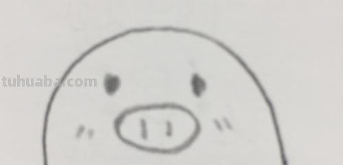 小鸡的简笔画怎么画 简笔小鸡怎么画？