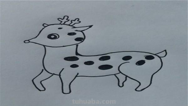 鹿怎么画的简笔画 如何画一个简单的可爱的小梅花鹿？