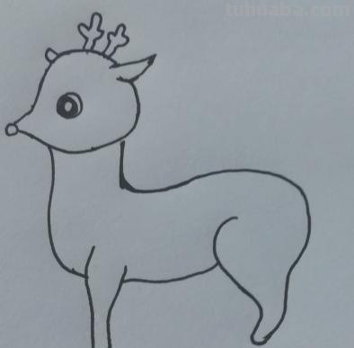 鹿怎么画的简笔画 如何画一个简单的可爱的小梅花鹿？