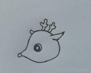 鹿怎么画的简笔画 如何画一个简单的可爱的小梅花鹿？