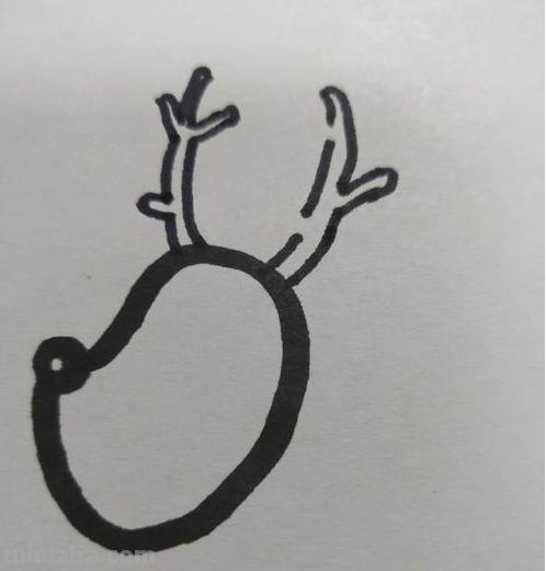鹿怎么画的简笔画 如何画一个简单的可爱的小梅花鹿？