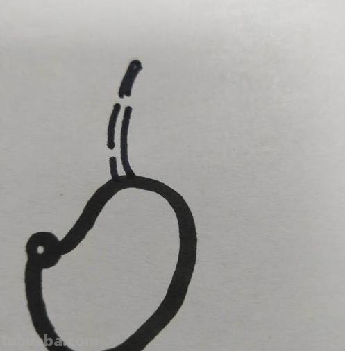 鹿怎么画的简笔画 如何画一个简单的可爱的小梅花鹿？