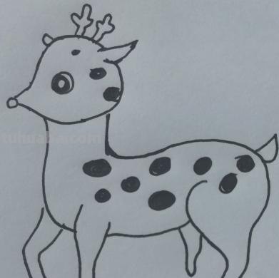 鹿怎么画的简笔画 如何画一个简单的可爱的小梅花鹿？