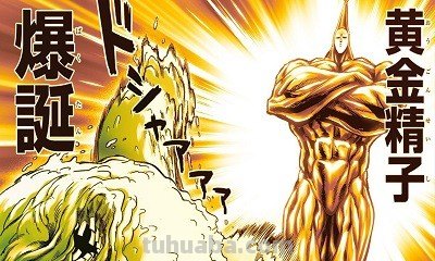 一拳超人官方实力排名