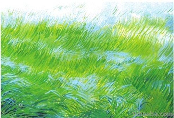 用彩铅画小草地怎么画 草地怎么画？