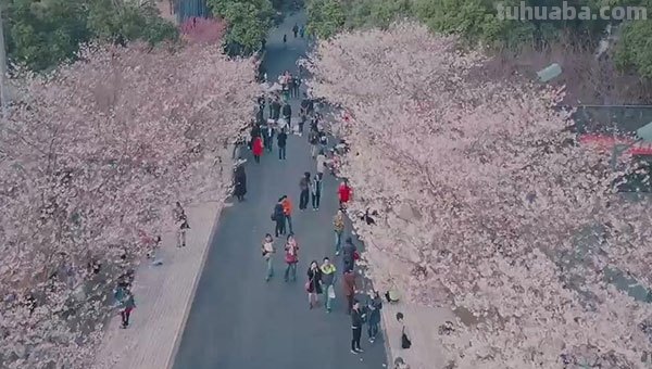 魔都是哪个城市