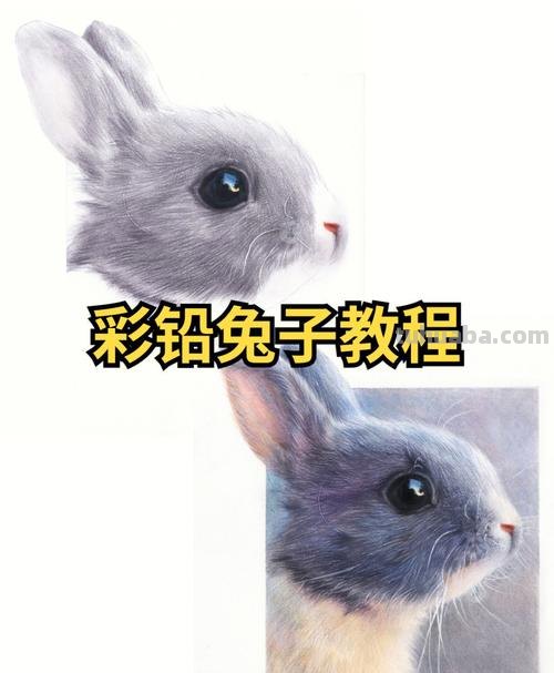 彩铅基础画白兔子怎么画 彩铅手绘兔子教程？