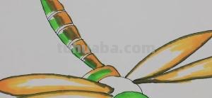 简笔画蜻蜓涂什么颜色 如何画蜻蜓简笔画？