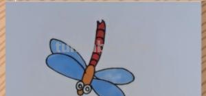 简笔画蜻蜓涂什么颜色 如何画蜻蜓简笔画？