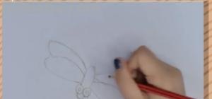 简笔画蜻蜓涂什么颜色 如何画蜻蜓简笔画？