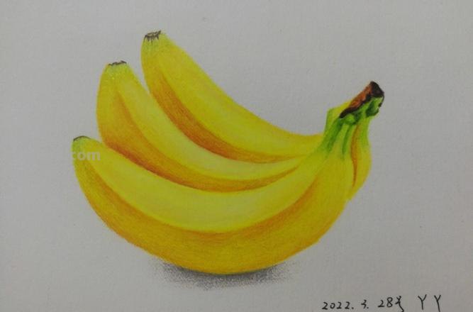 彩铅画香蕉自学教程怎么画 一年级简单画香蕉？