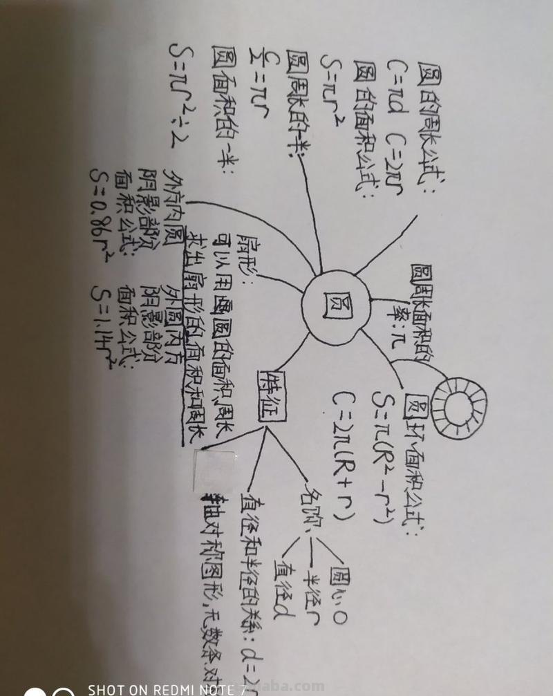 怎么做思维导图圆圈图 圆的思维导图怎么做五年级