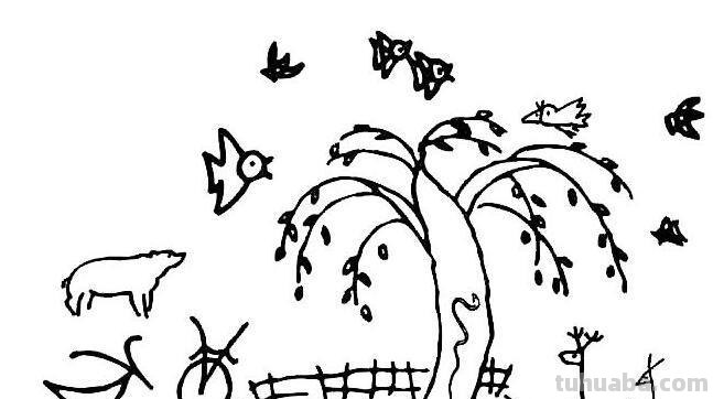 春天的简笔画怎么画 儿童简笔画:美丽春天的画法？