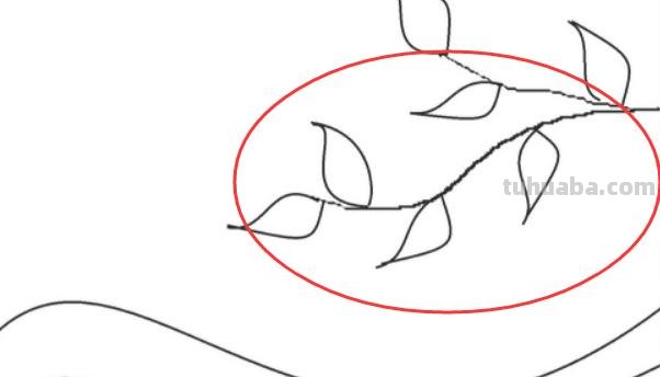春天的简笔画怎么画 儿童简笔画:美丽春天的画法？