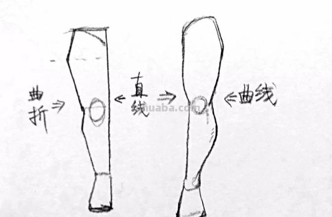 腿膝盖速写 如何用铅笔画腿部？