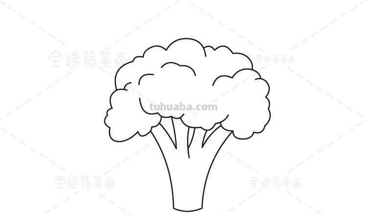 西兰花怎么画简笔画 牛肉的怎样画?