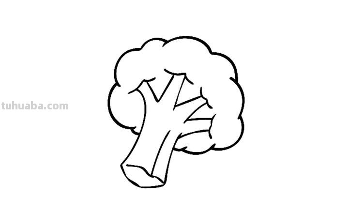 西兰花怎么画简笔画 牛肉的怎样画?