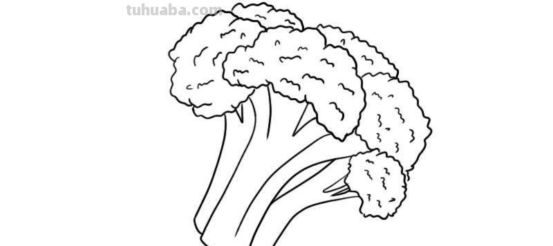 西兰花怎么画简笔画 牛肉的怎样画?