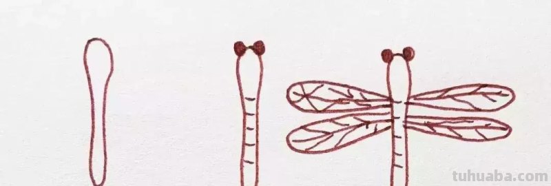 昆虫总动员简笔画教程