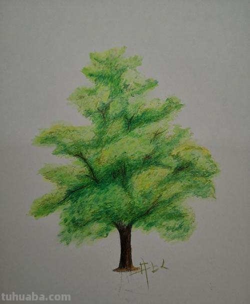 怎么画用彩铅画的树木 很茂密的树怎么用彩铅画?