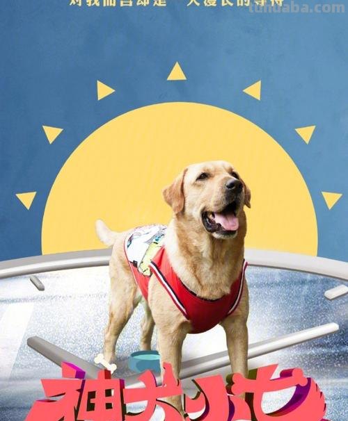 神犬小七 神犬小七2