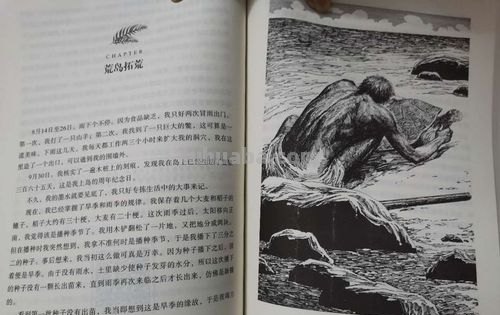 鲁滨逊的速写 鲁滨逊人物描写?