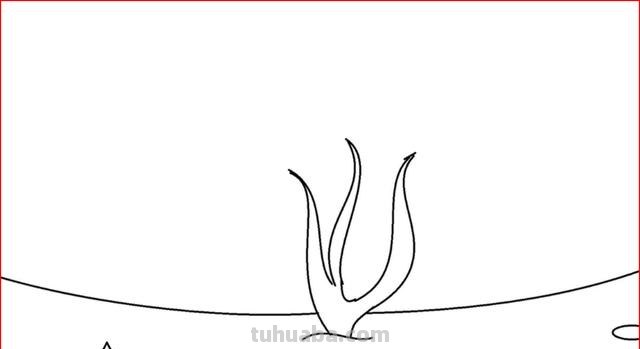 海底世界怎么画简笔画 海底世界怎样画？