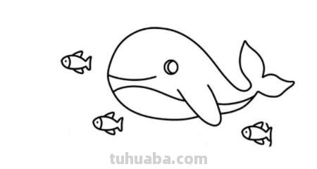 海底世界怎么画简笔画 海底世界怎样画？
