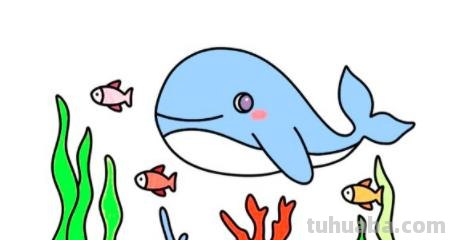 海底世界怎么画简笔画 海底世界怎样画？