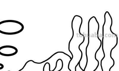 海底世界怎么画简笔画 海底世界怎样画？