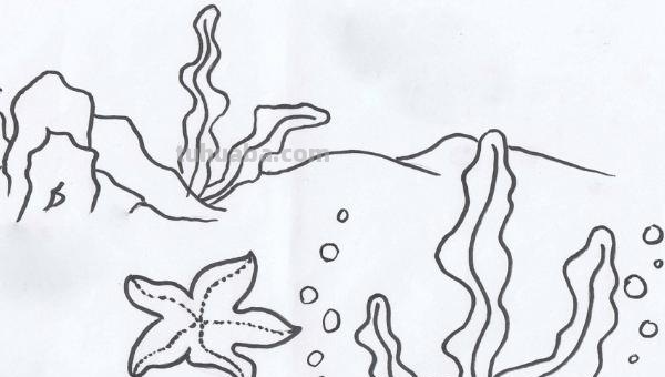 海底世界怎么画简笔画 海底世界怎样画？