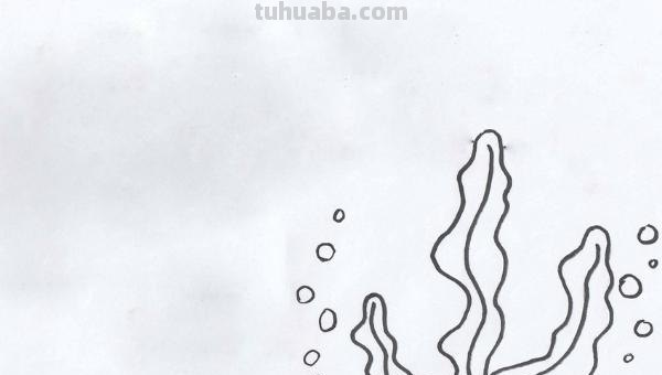 海底世界怎么画简笔画 海底世界怎样画？