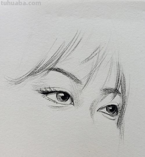 明星眼睛速写 五官速写技巧口诀？