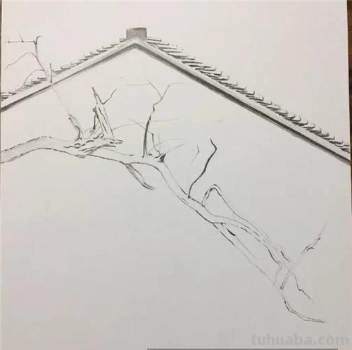 怎么画用彩铅画的树枝 怎么用彩铅画一颗枯树?