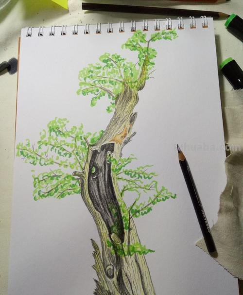 怎么画用彩铅画的树枝 怎么用彩铅画一颗枯树?