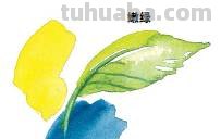 水彩画的基础知识及技巧分享