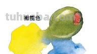 水彩画的基础知识及技巧分享