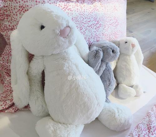 兔买买 兔买买bunny